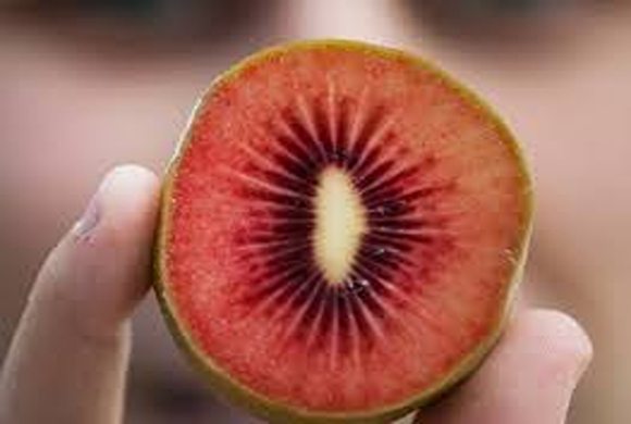 تصویر 4 از قیمت کیوی هایوارد قرمز + خرید باور نکردنی